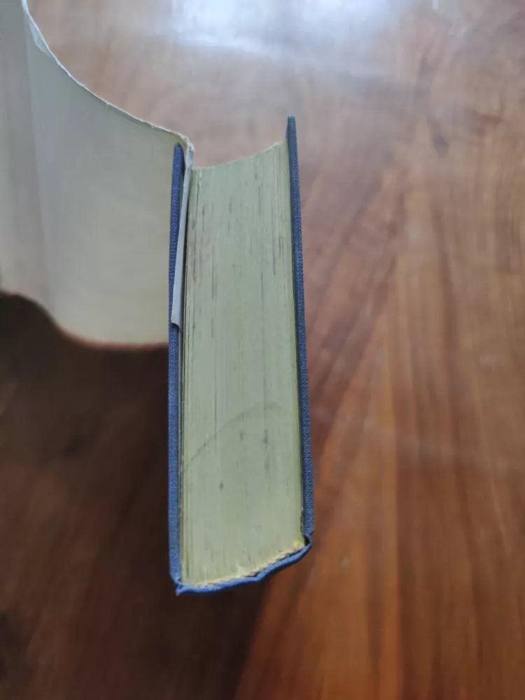 CHARLES DICKENS - Příběh Davida Copperfielda - II. Díl