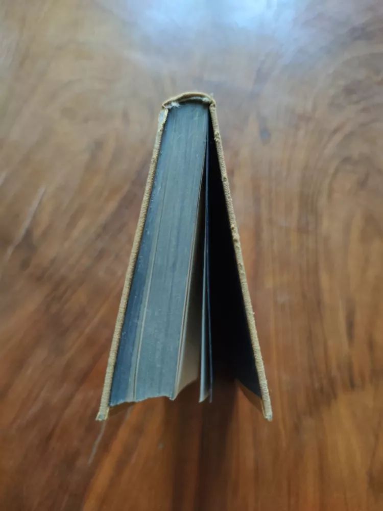 WILLIAM MACLEOD RAINE - Královna vaquerů