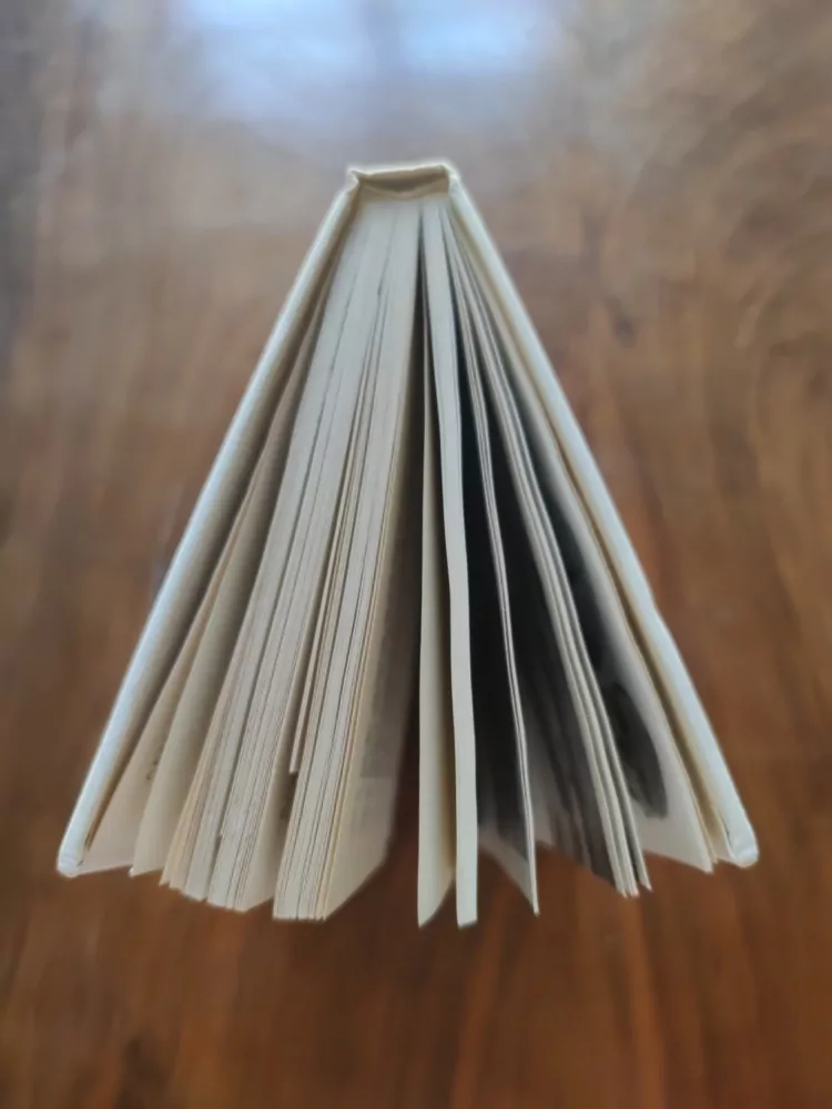 JOSEF POULÍK - Mikulčice: sídlo a pevnost knížat velkomoravských