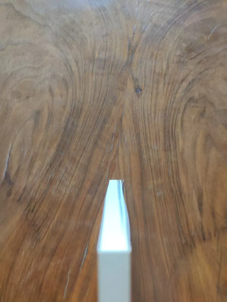 MAGIČTÍ LUCEMBURKOVÉ - ČEŠTÍ KRÁLOVÉ A PANOVNÍCI SVATÉ ŘÍŠE ŘÍMSKÉ