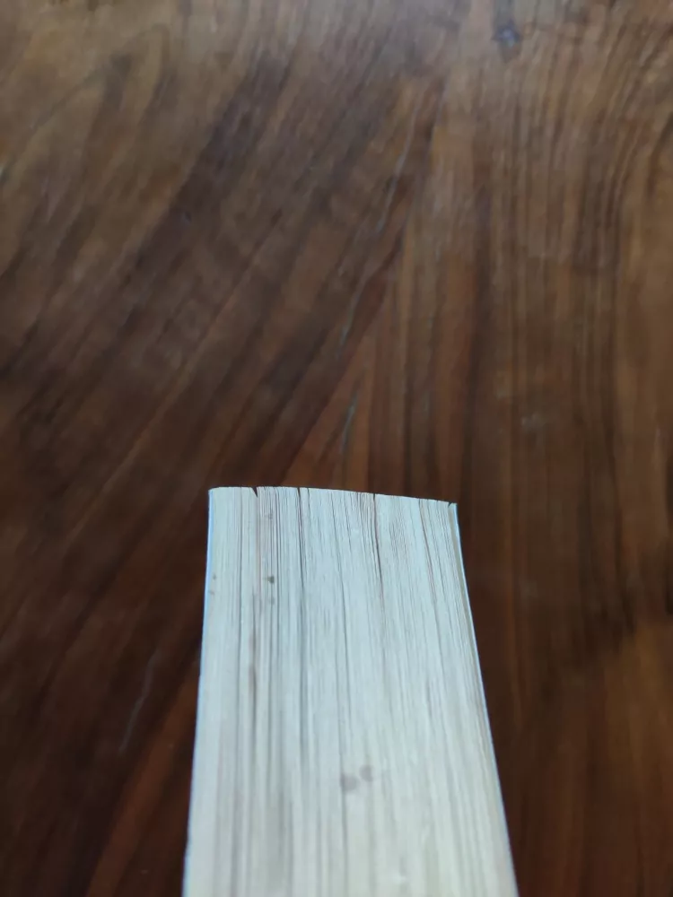 MELANIE RAWN - Dračí princ