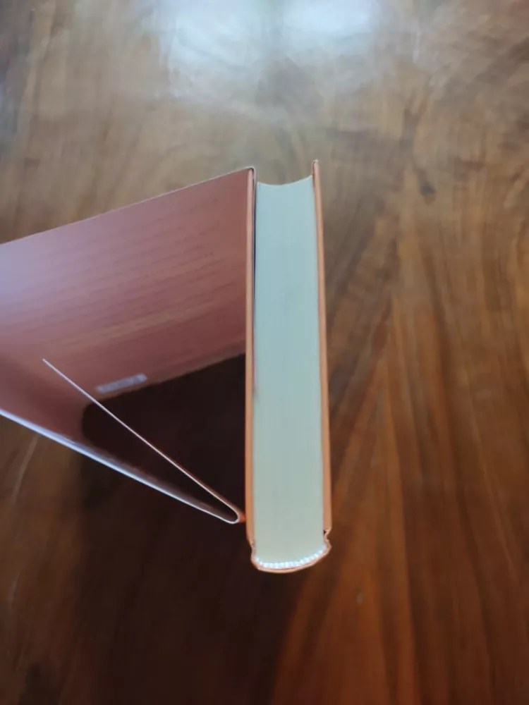 JOY FIELDING - Zmizení Samanthy Shipleyové