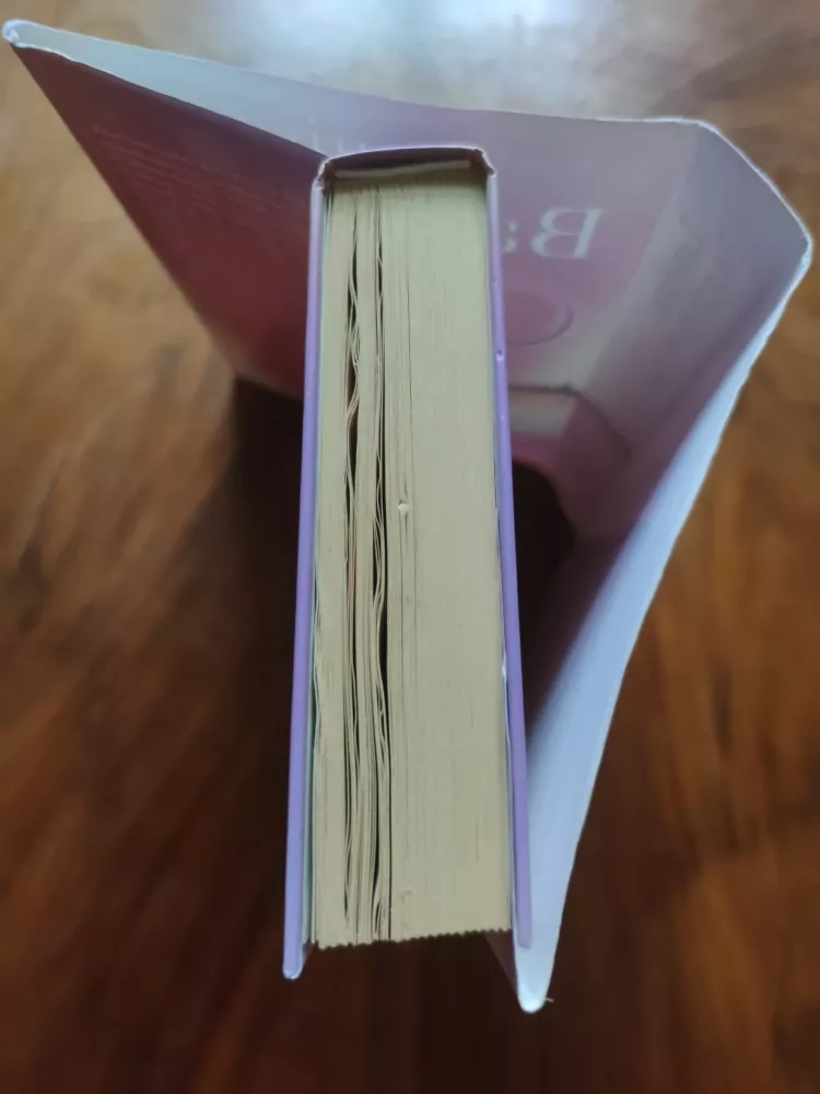 LOUISE BAGSHAWE - Osud