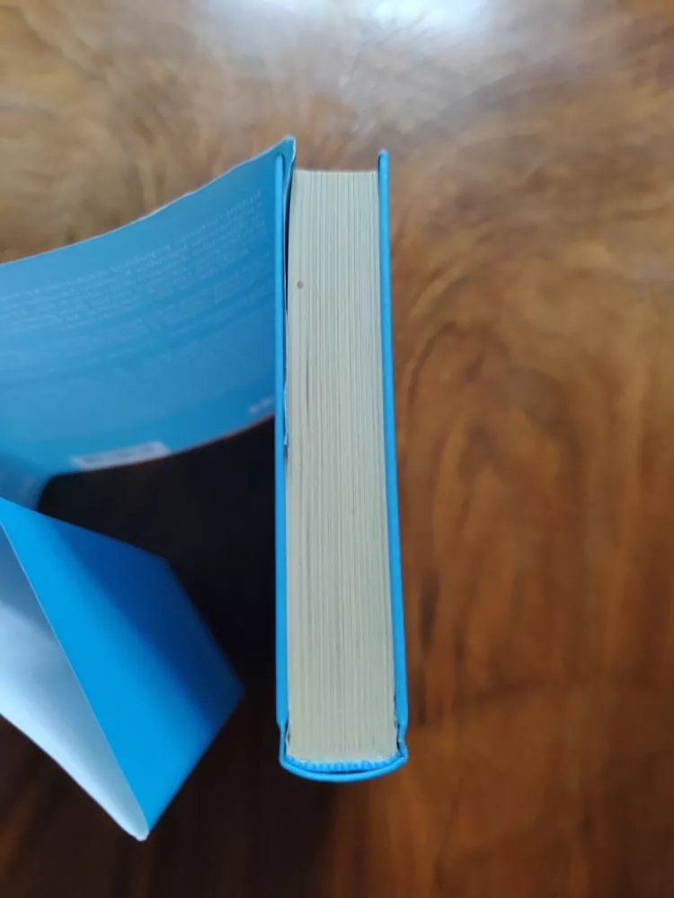 KAMILA MOUČKOVÁ, SVĚTLANA WITOVSKÁ - Hlavou proti zdi