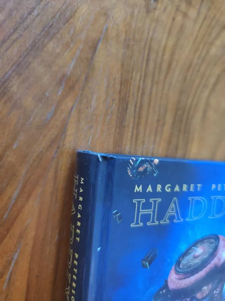 MARGARET PETERSON HADDIX - Trosečníci v čase 1. – Setkání