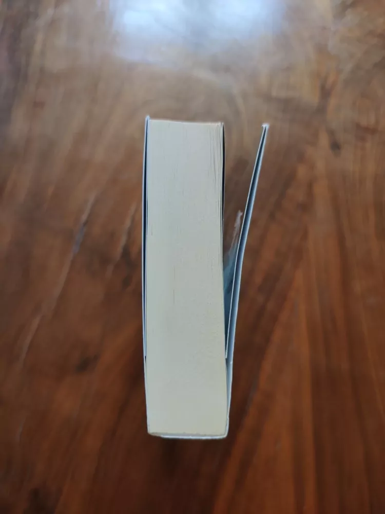 JOAN D. VINGE - 47 Róninů