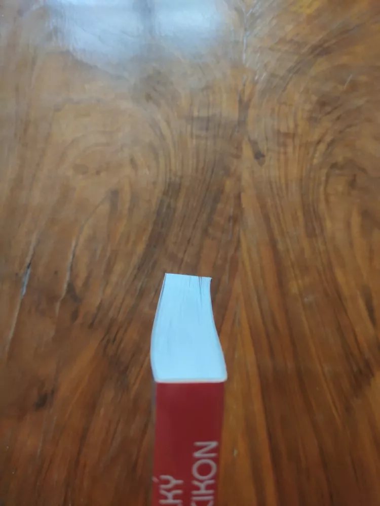 BERND ROHR, GÜNTER SIMON - Fotbal - velký lexikon: osobnosti, kluby, názvosloví