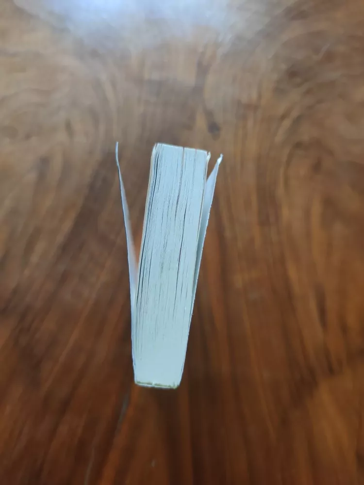 ROBERT HOLDSTOCK - Fantom