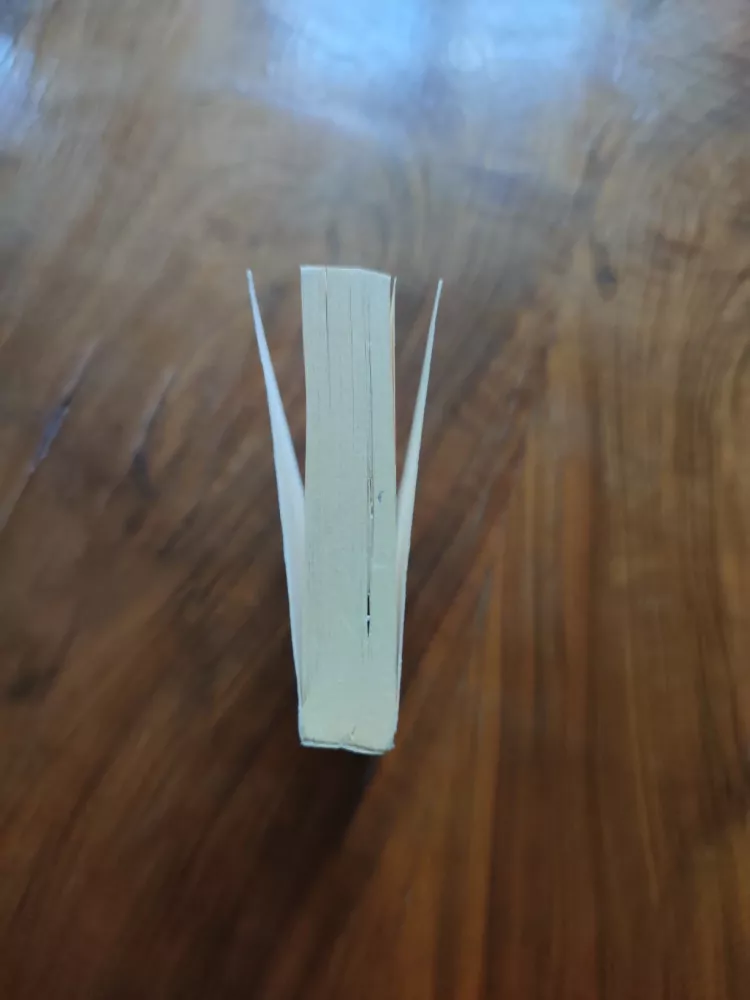 CAROL HIGGINS CLARK - Červené oči