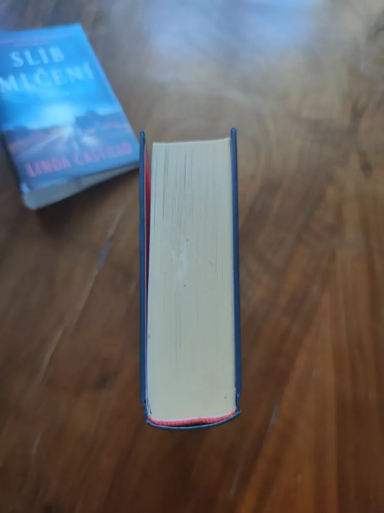 LINDA CASTILLO - Slib mlčení