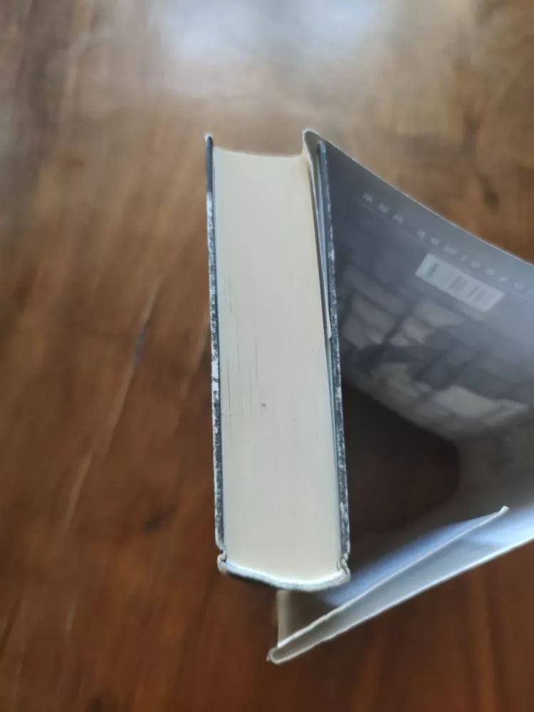 JEFFERY DEAVER - Tanečník