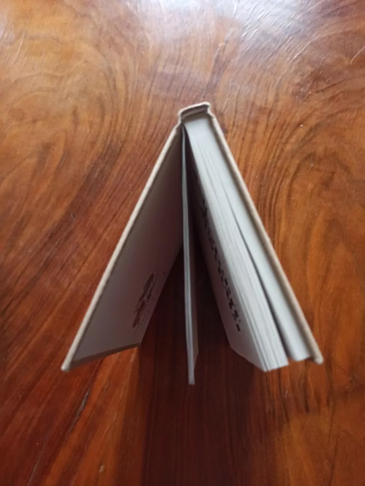 PETR ŠABACH - Jak potopit Austrálii