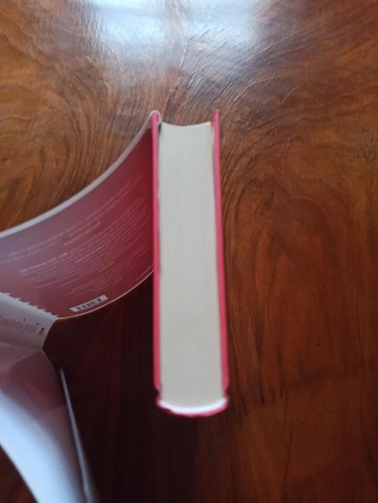 TAYLOR STEVENS - Lovkyně informací