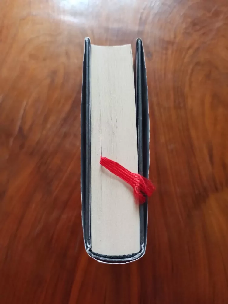 VICTORIA SCHWAB - Temnější tvář magie