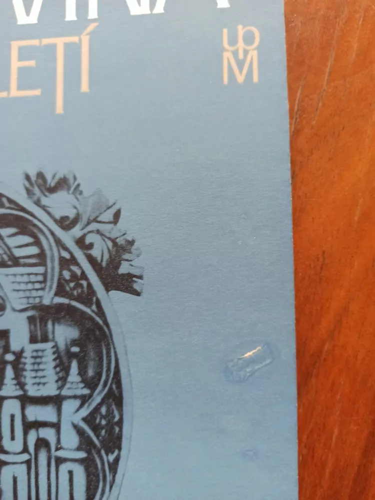 SLONOVINA XI-XIX STOLETÍ