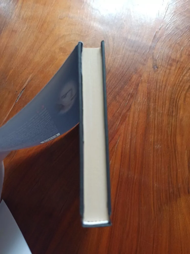 ED McBAIN - Kráska a zvíře