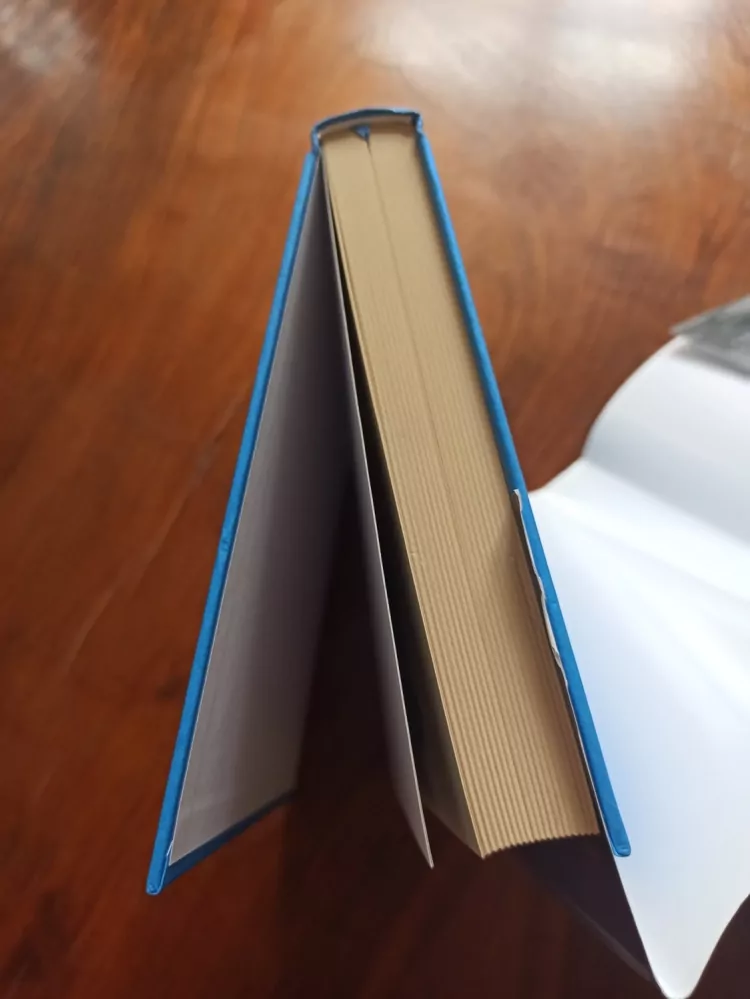 BERNHARD HENNEN - Zima elfů II.