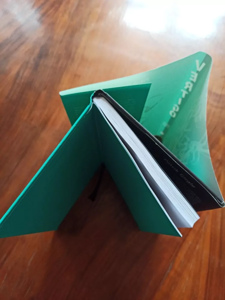 PATRIK GIRGLE - Vertigo