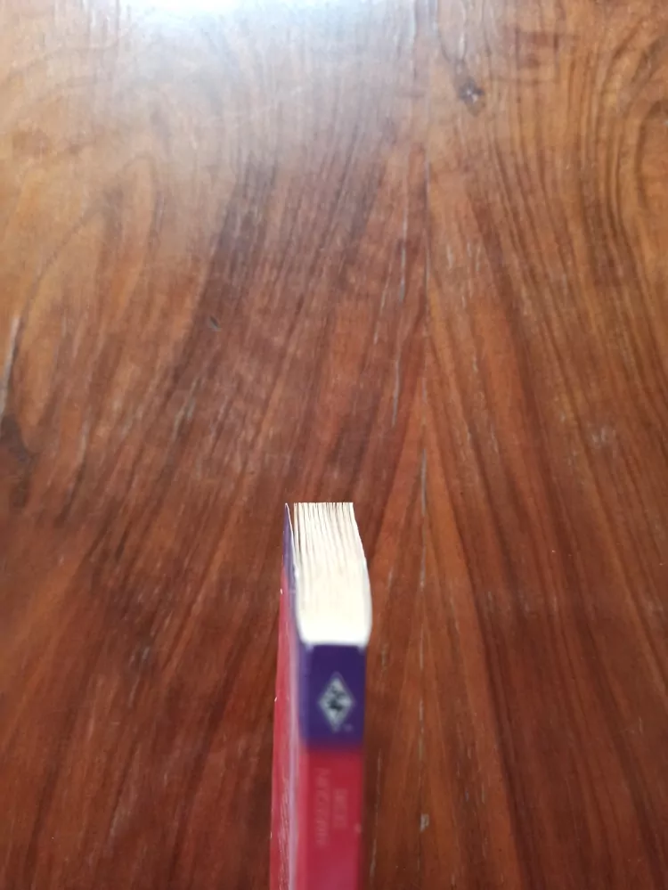 LEANNE BANKS - Neústupný doktor Logan