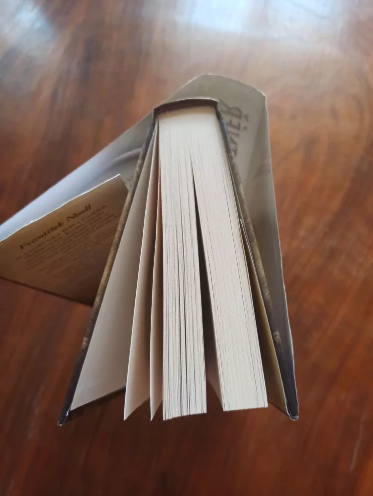 FRANTIŠEK NIEDL - Platnéř