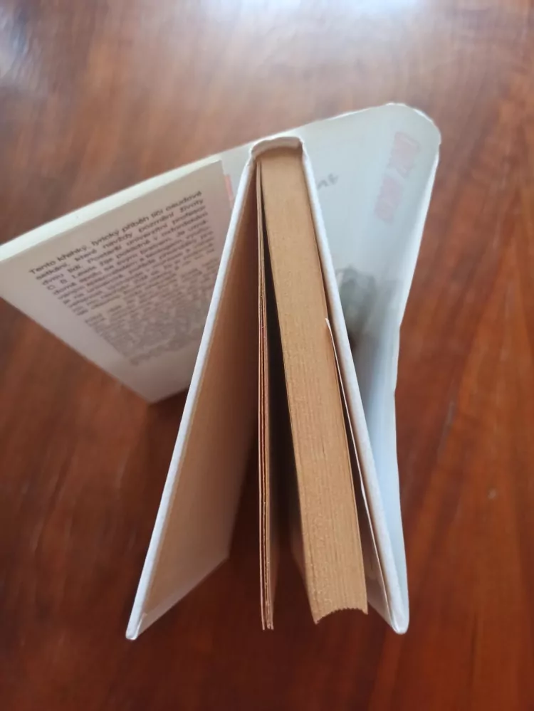 LEONORE FLEISCHER - Krajina stínů