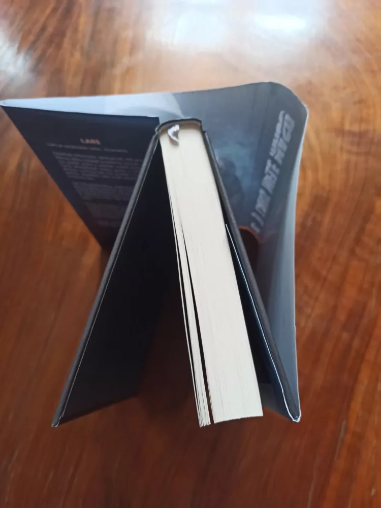 DANIEL GRIS - Lars mele maso