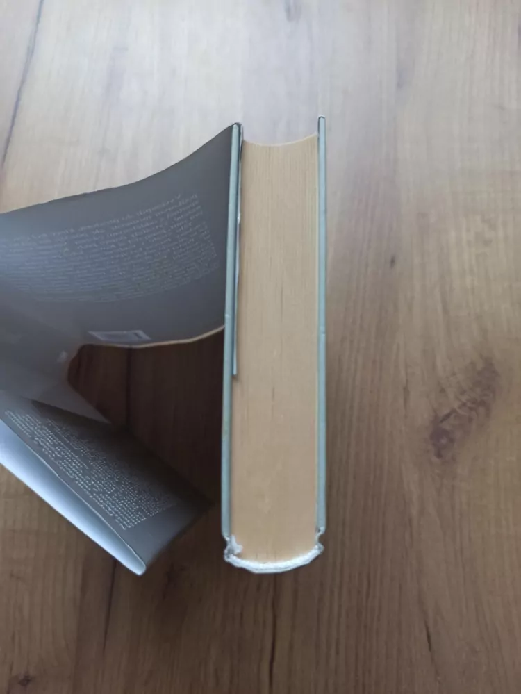 TAMI HOAG - Prach prachu