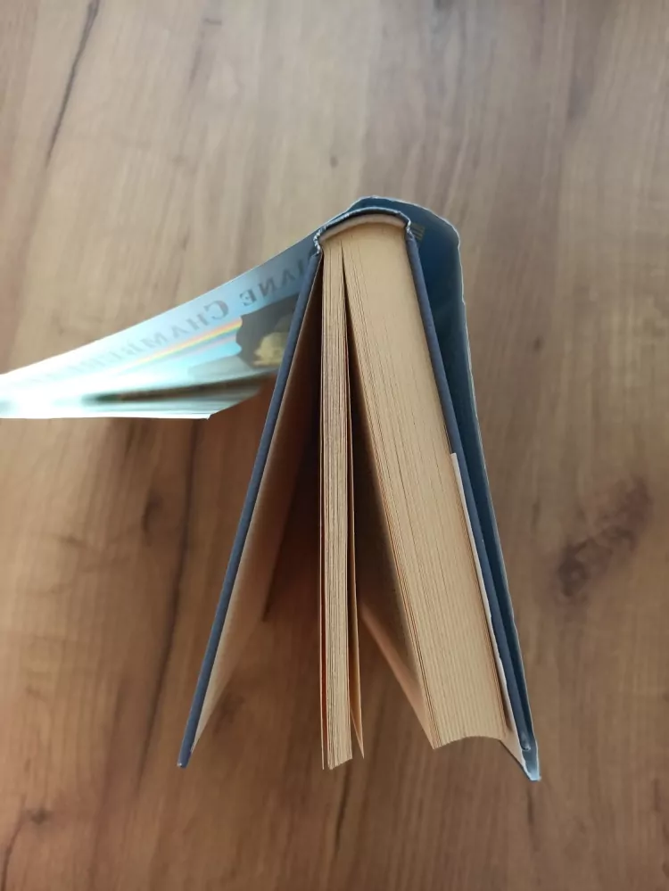 DIANE CHAMBERLAIN - Strom odvahy