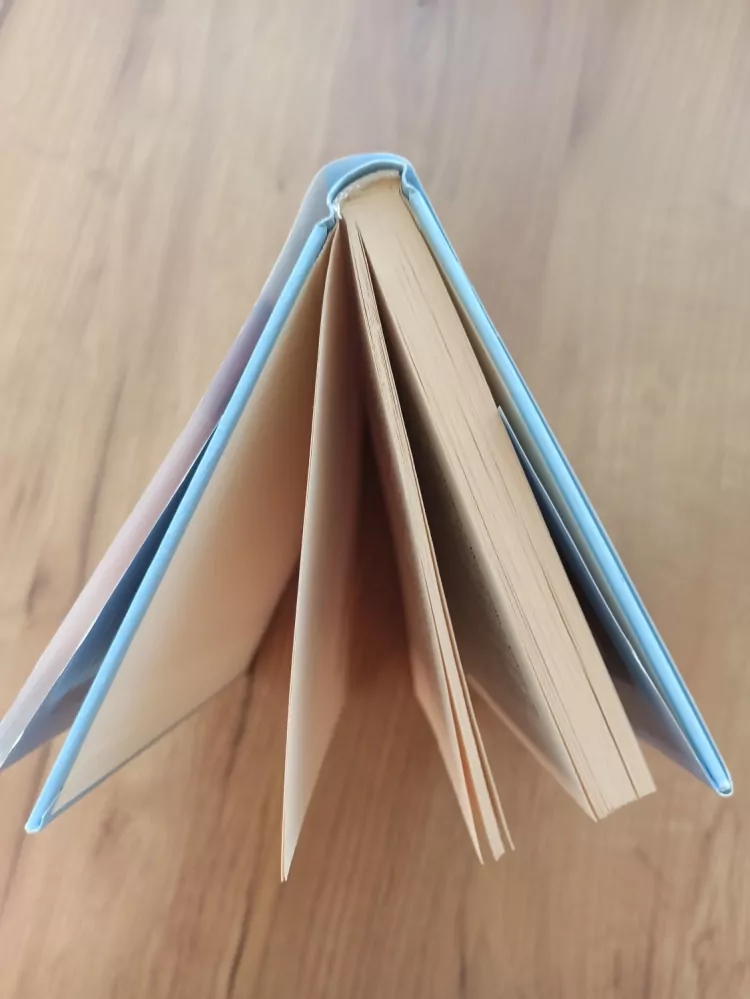 SANDRA BROWN - Adamův pád