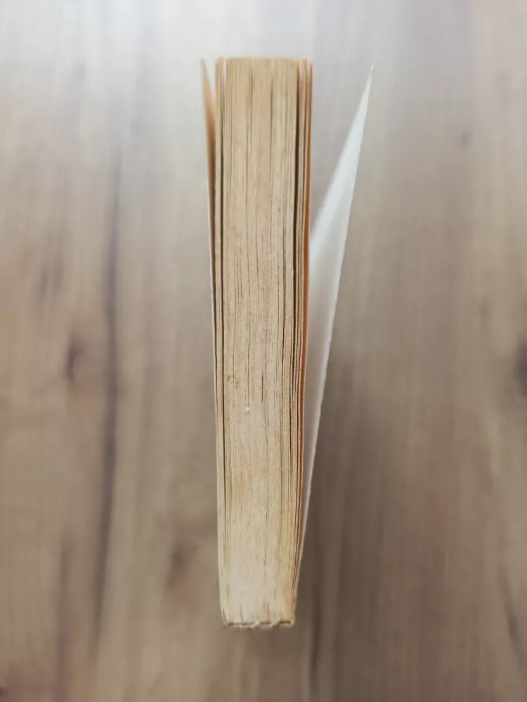 WOLFGANG JESCHKE - Temné brány času