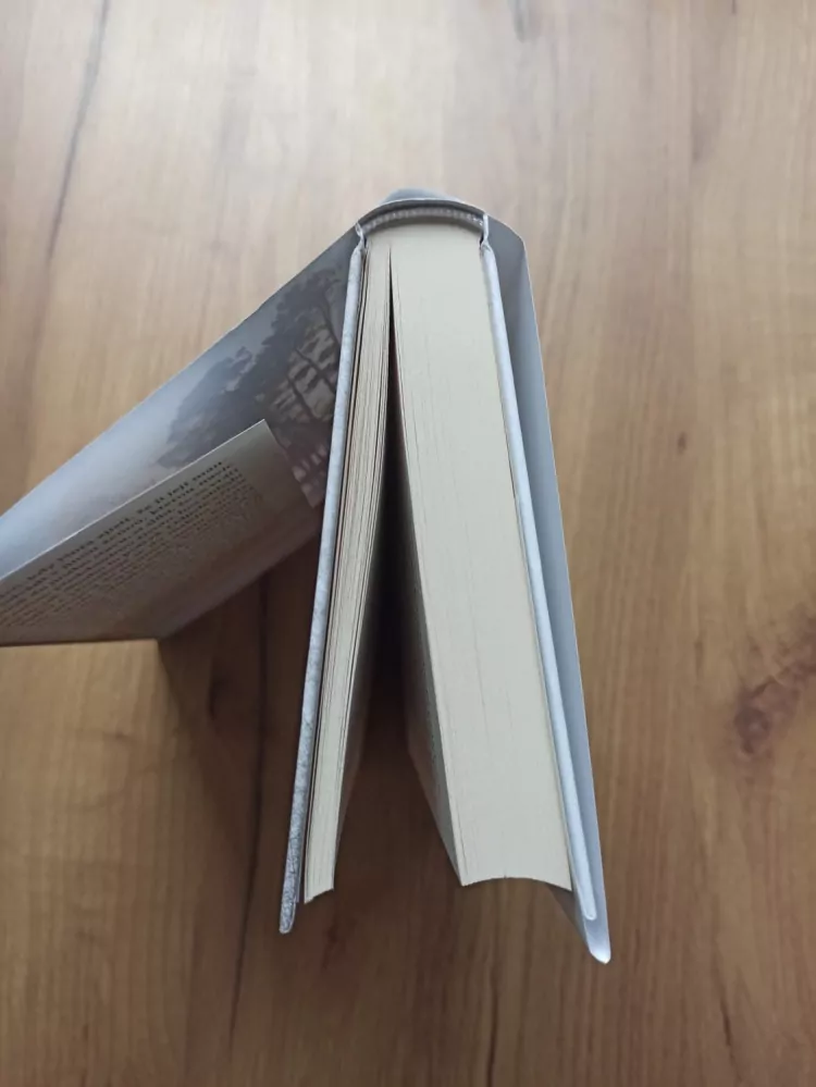 RENEÉ SHAFRANSKY - Zatímco spím