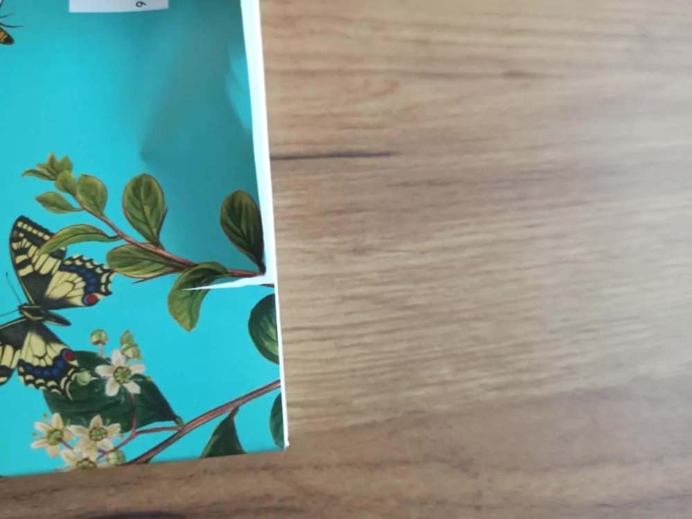 KIMMERY MARTIN - Srdcová královna