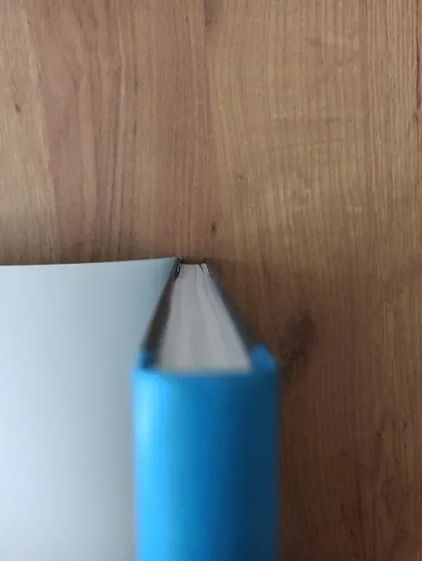 RADOMÍRA SEDLÁKOVÁ, PAVEL FRIČ - 20. století české architektury