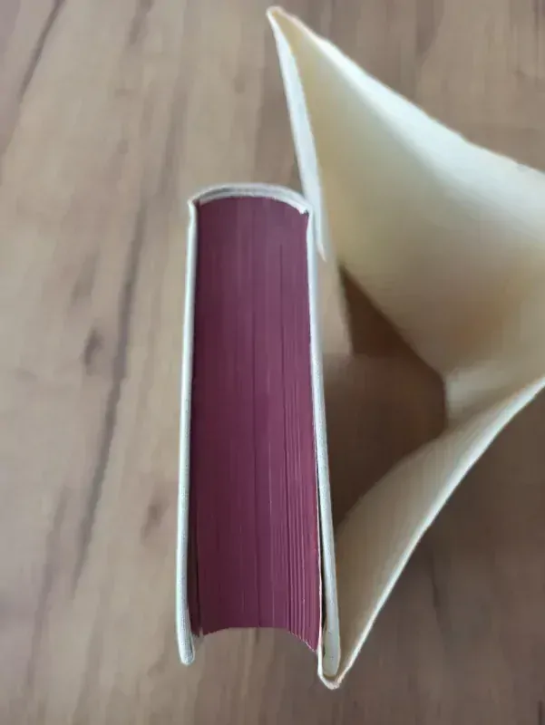 STEFAN ŽEROMSKI - Historie hříchu