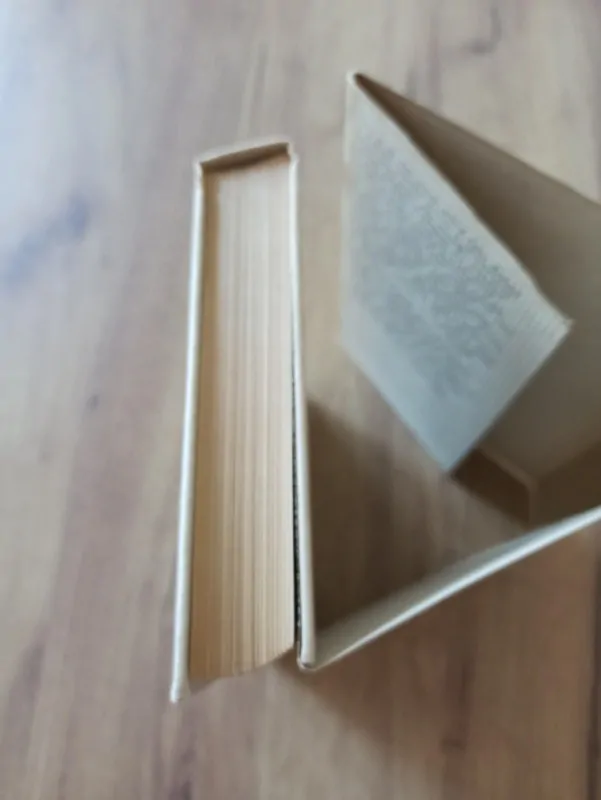 VLADIMÍR NEFF - Krásná čarodějka