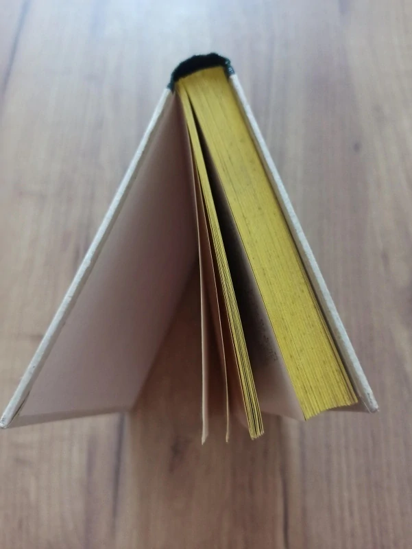 GUY DE MAUPASSANT - Mont-Oriol