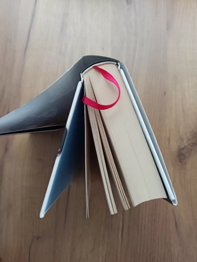 LEISA RAYVEN - Pan Romantik