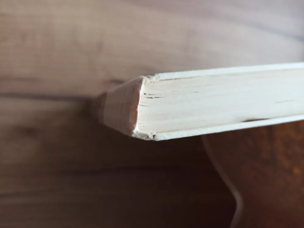 IRA LEVIN - Rosemary má děťátko, Stepfordské paničky