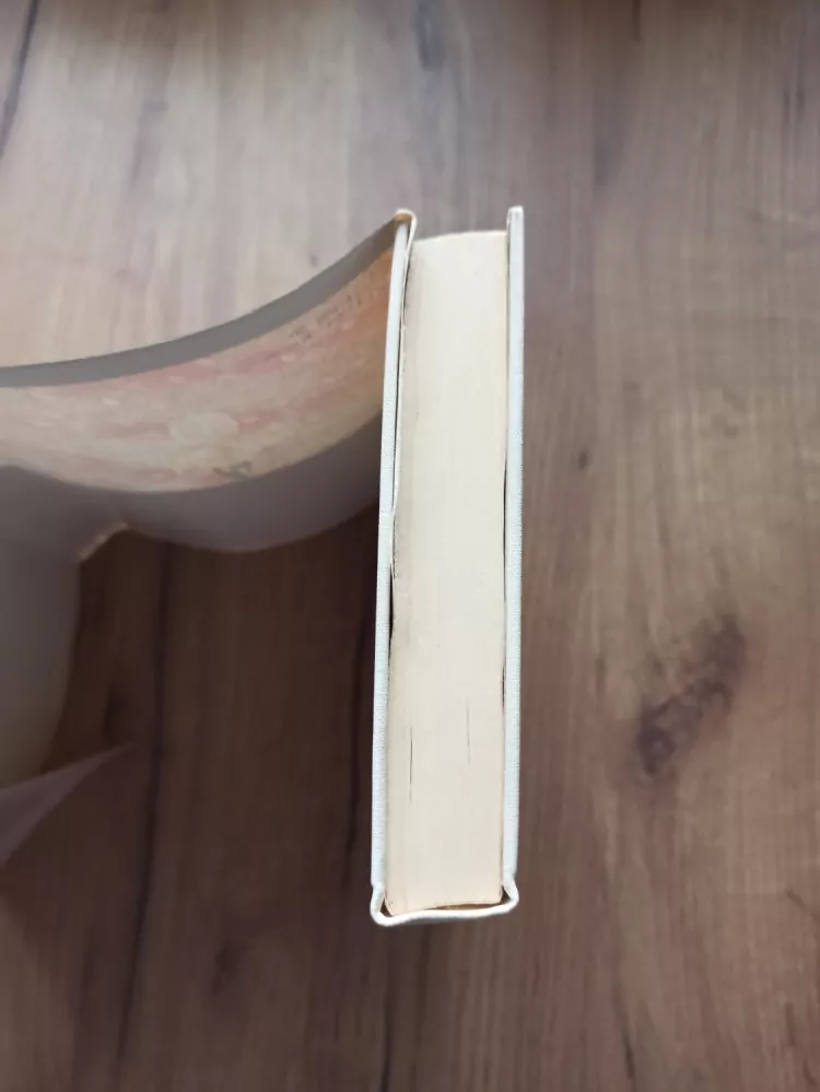 MARIANNE BRUNSOVÁ - Devátý syn Víta Stosse