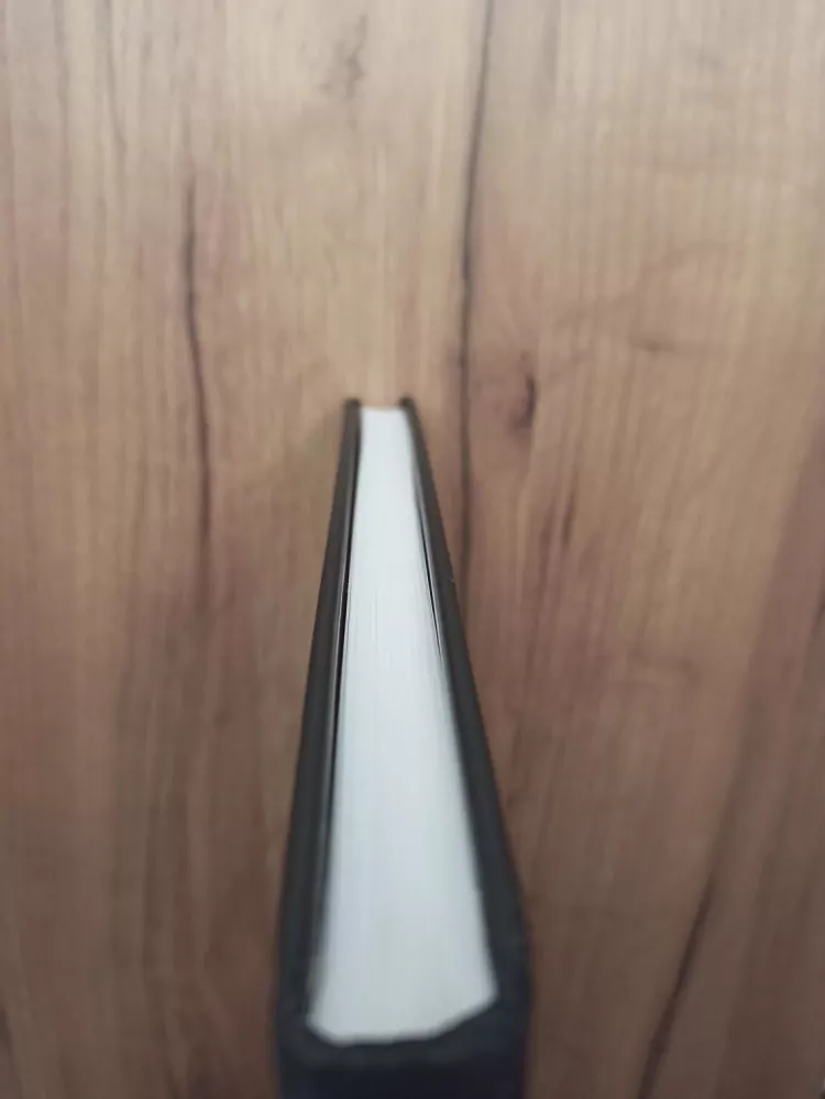 ALEŠ DRECHSLER, VĚRA FIŠMISTROVÁ, JIŘÍ LAPÁČEK - Dějiny města Přerova v datech