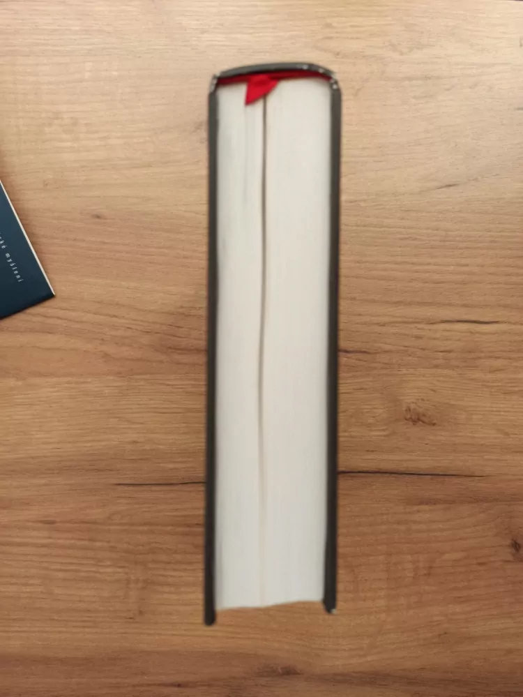 DEBÓRAH DWORK, ROBERT JAN VAN PELT - Osvětim: Od roku 1270 do současnosti