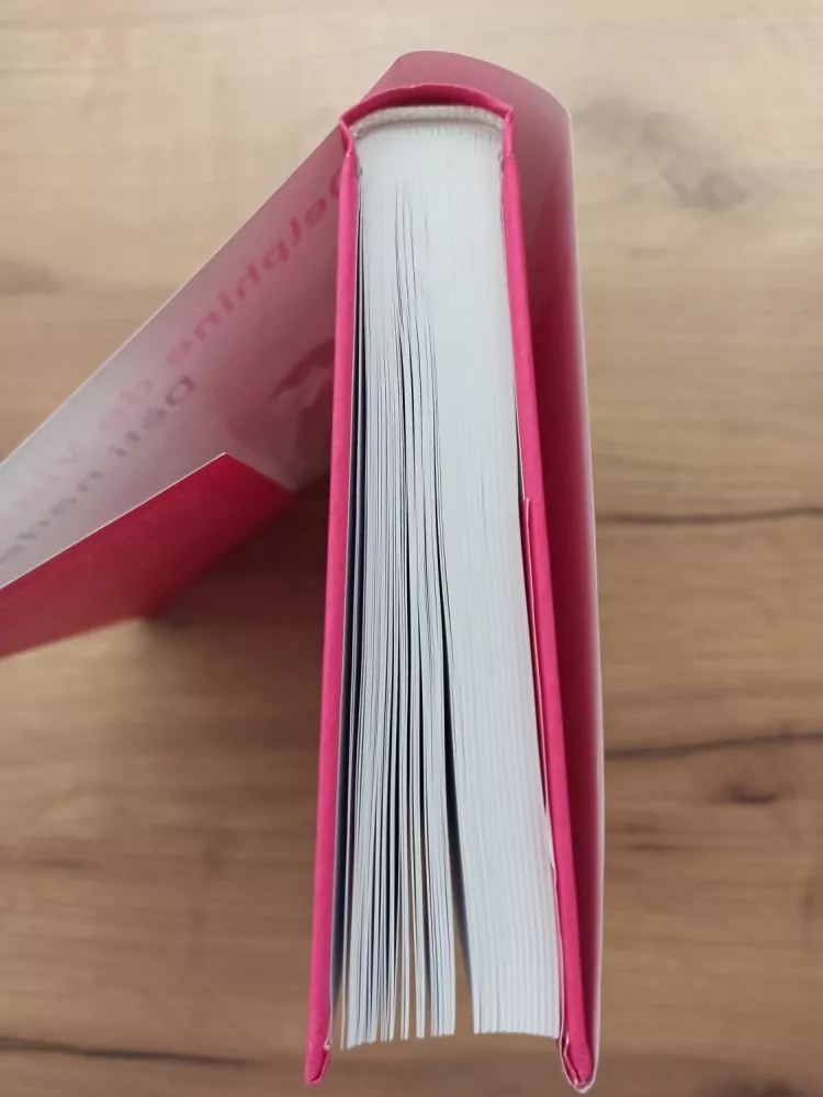 DELPHINE DE VIGAN - Děti nade vše