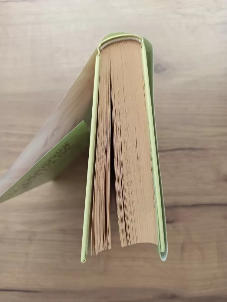 MARY HIGGINS CLARK - Ještě se setkáme