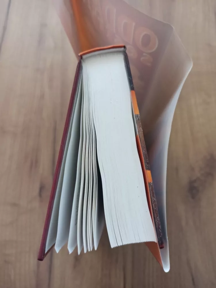 EILEEN GOUDGE - Oddané sestry