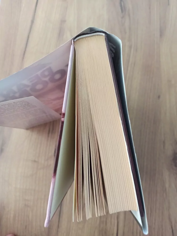 DEAN KOONTZ - Ochránce