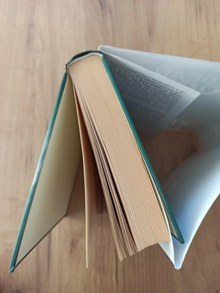 DEAN KOONTZ - Intenzita