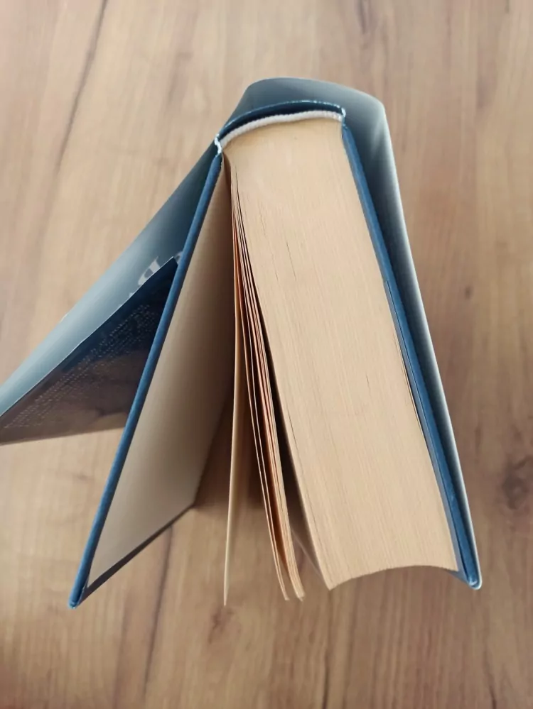 PATRICIA SHAW - Mangový vrch