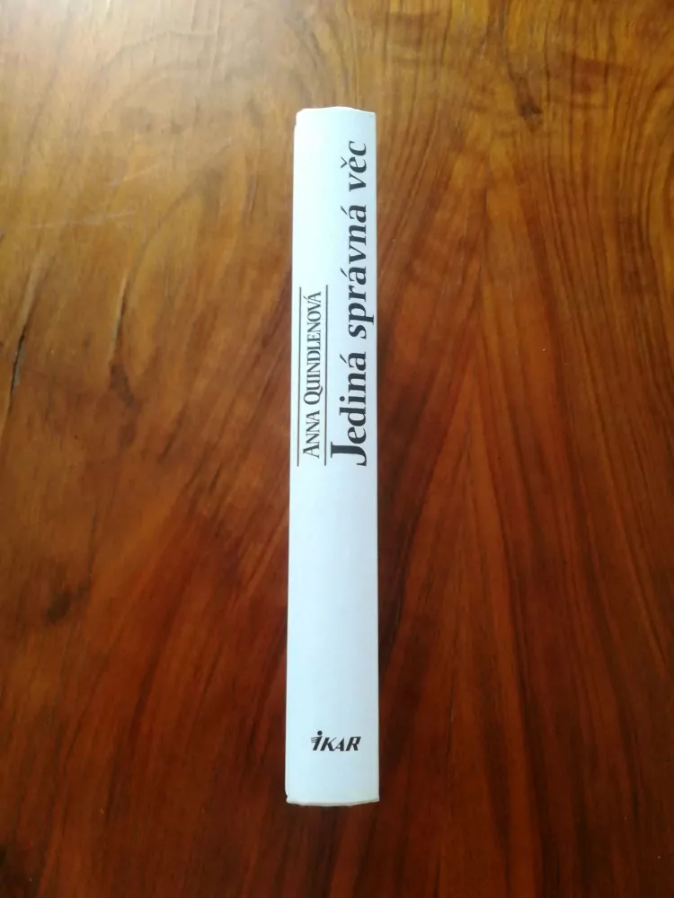 ANNA QUINDLEN - Jediná správná věc