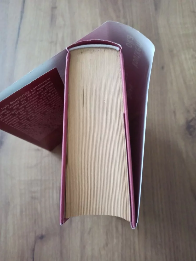 DEAN KOONTZ - Koutkem oka