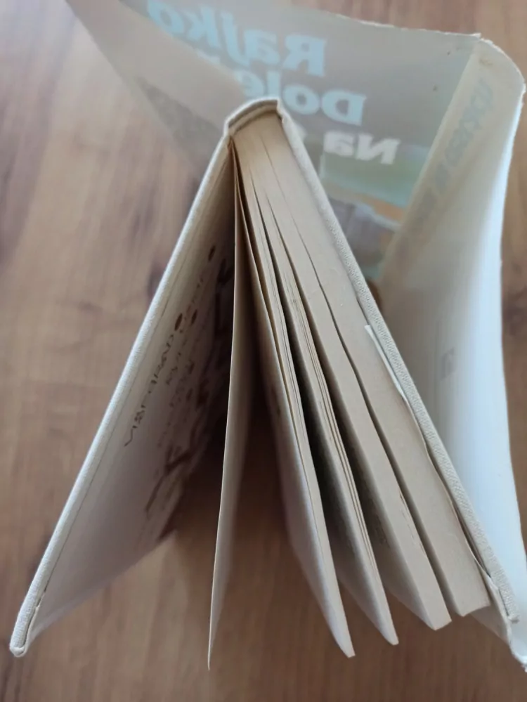 RAJKO DOLEČEK - Na cestách